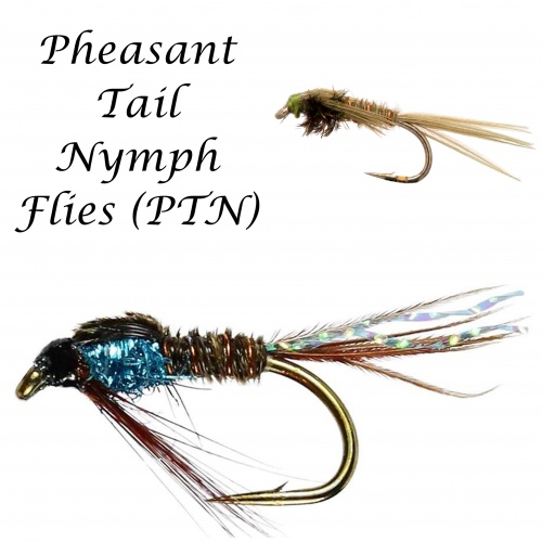 Pheasant Tail Nymph Flies (PTN)